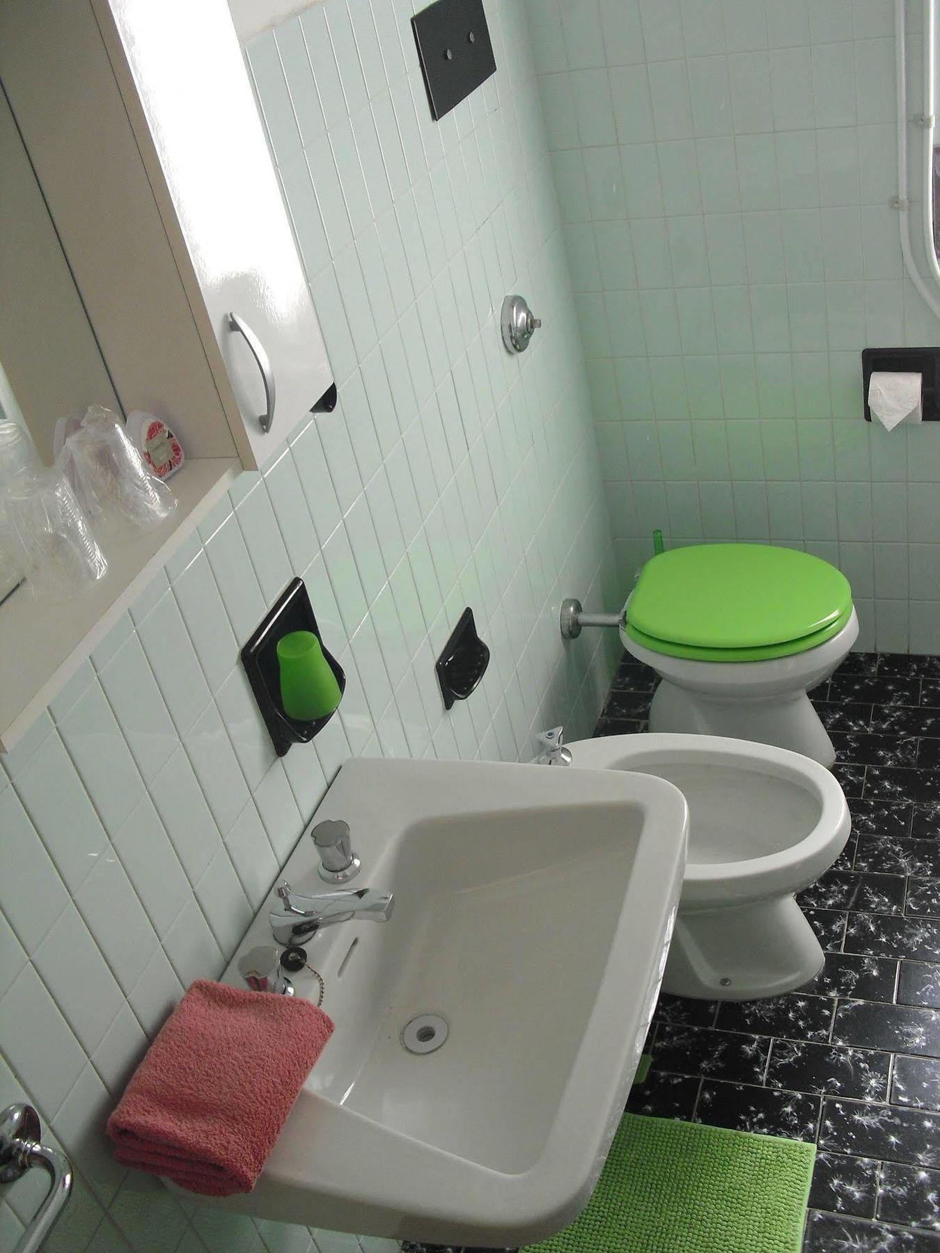 Casa Palmira Apartment Бренцоне сул Гарда Екстериор снимка